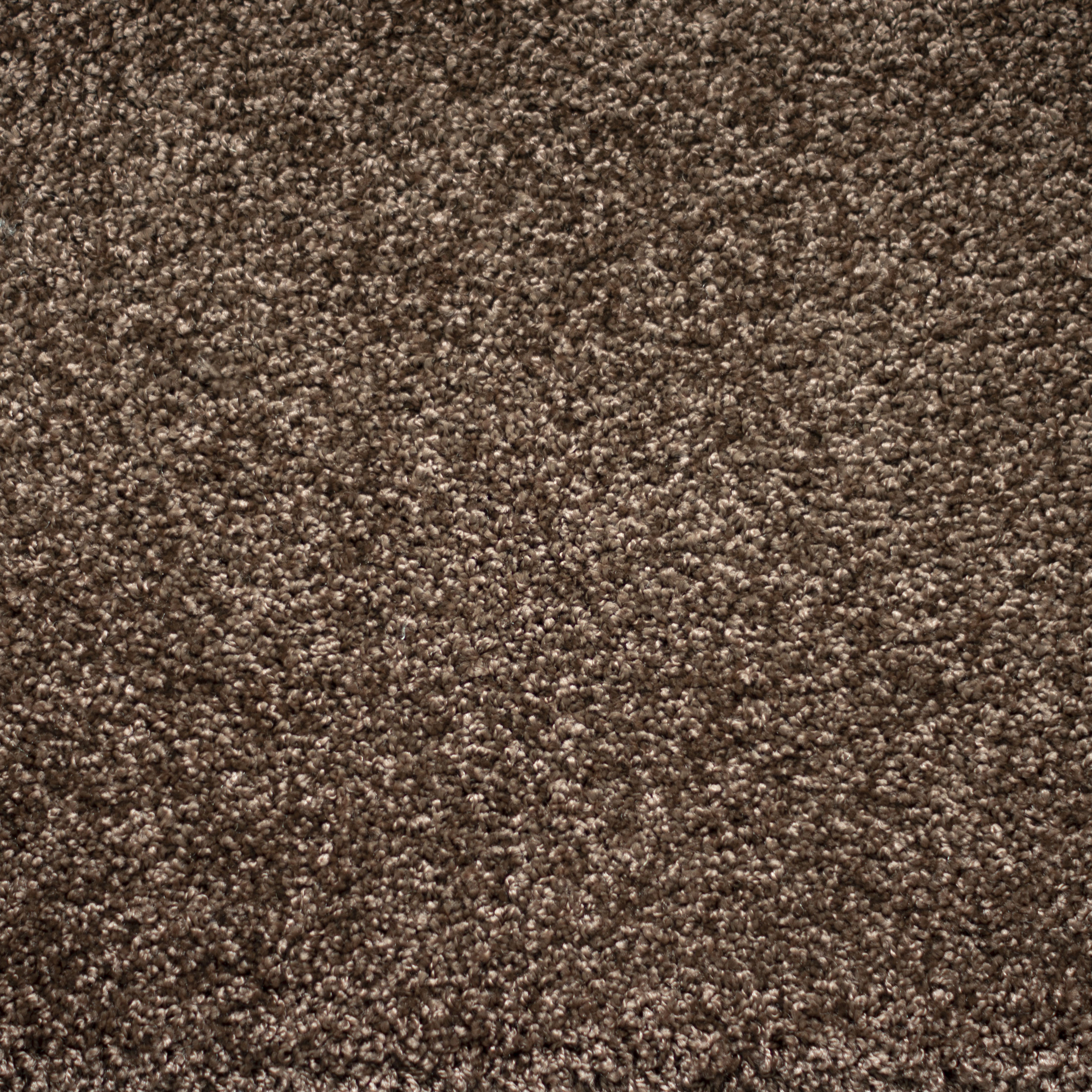 Ковролин "Зартекс" Tesoro 156 коричневый (4м) — купить в Ростове-на-Дону