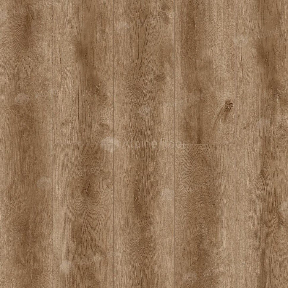 Ламинат "Camsan" Дуб Ивори (1380*192,5*8 мм) — купить в Ростове-на-Дону