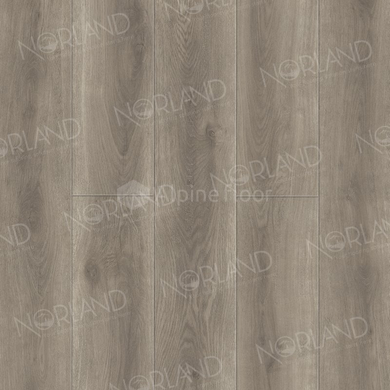 SPC Ламинат "Norland" Templet (1220*196*8 мм) — купить в Ростове-на-Дону