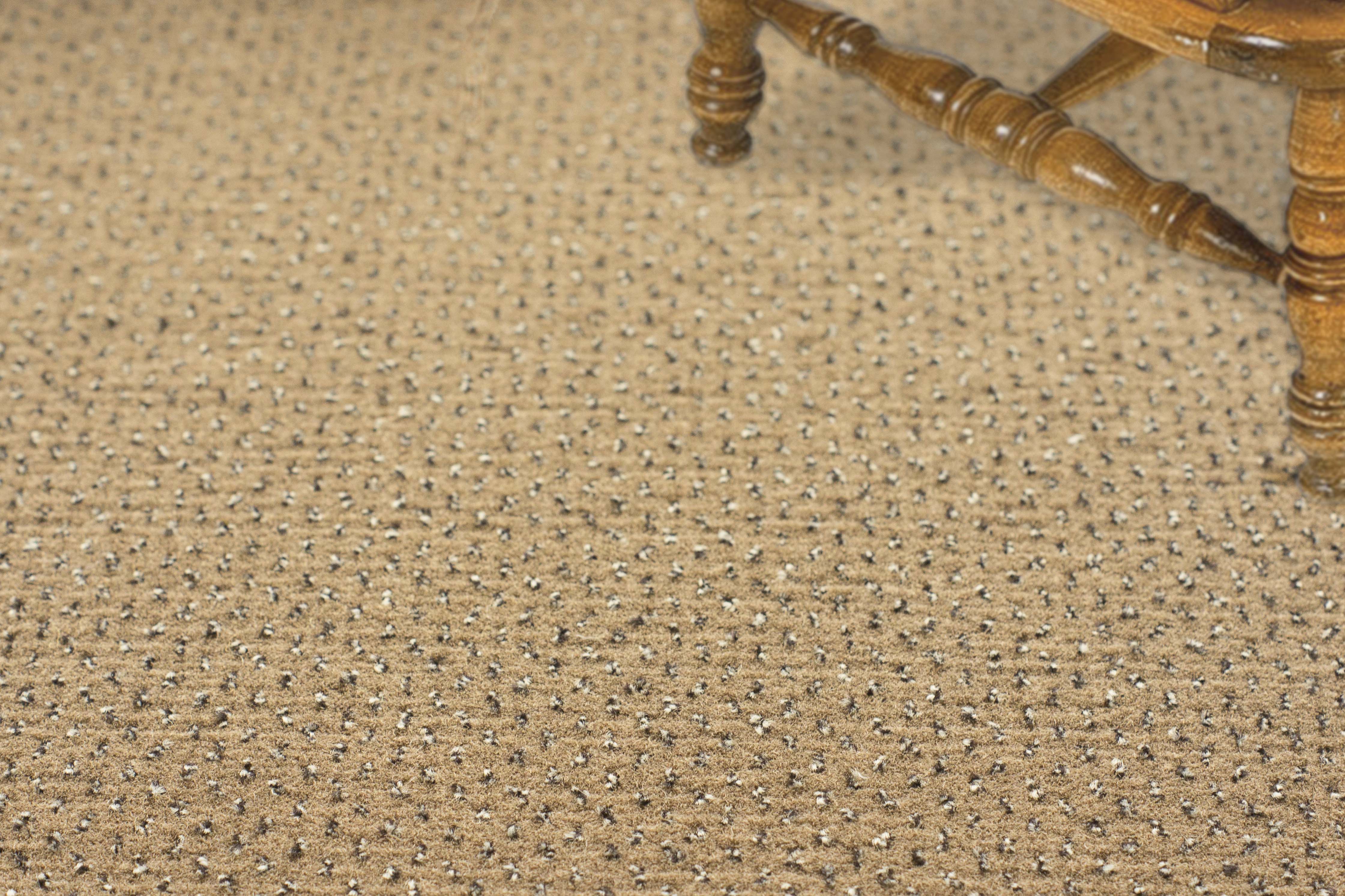 Ковролин "Зартекс" Eternity 142 бежевый (4м) — купить в Ростове-на-Дону